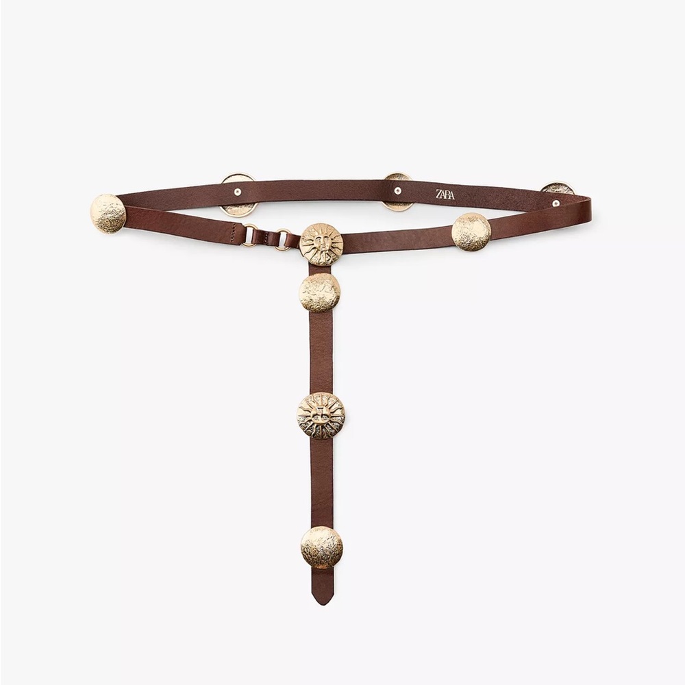Zara Belt in Brown with Gold Accents